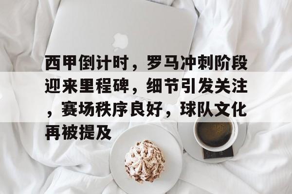 西甲倒计时,罗马冲刺阶段迎来里程碑,细节引发关注,赛场秩序良好,球队文化再被提及 西甲倒计时,罗马冲刺阶段迎来里程碑,细节引发关注,赛场秩序良好,球队文化再被提及