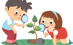观察|板球视角看国际板球赛程进入密集期,亚洲球队状态受到关注值得细读,场内外都有故事 观察|板球视角看国际板球赛程进入密集期,亚洲球队状态受到关注值得细读,场内外都有故事