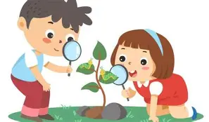 观察｜今日体育头条｜鲨鱼续约麦克林·塞莱布里尼：黑马会不会继续狂奔？